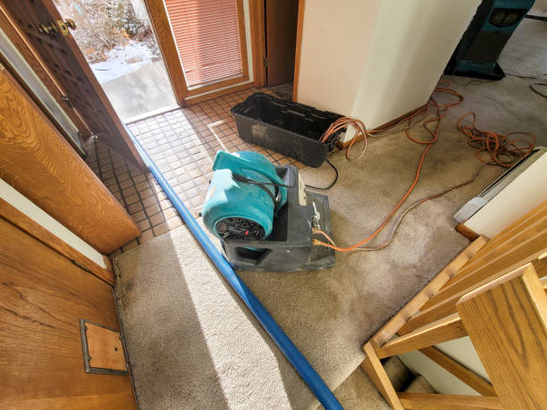 Best Flooded house restoration  in Malone, FL