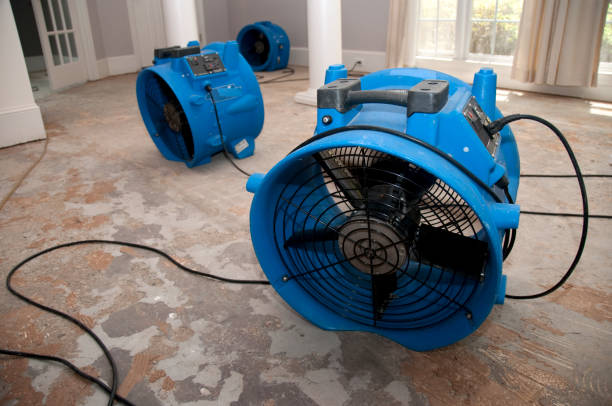 Best Local water damage restoration  in Malone, FL