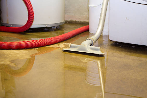 Best Water damage cleanup near me  in Malone, FL
