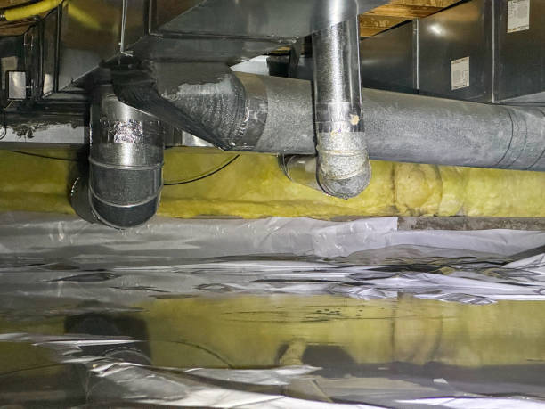 Best Ceiling water damage repair  in Malone, FL