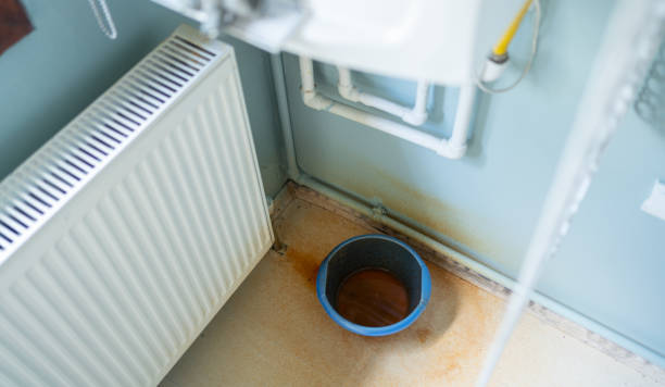 Best Carpet water damage restoration  in Malone, FL
