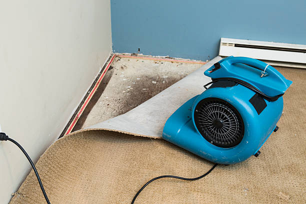 Best Water damage repair service  in Malone, FL